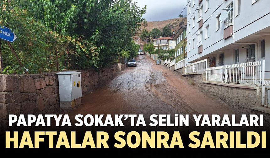 Papatya Sokak’ta selin yaraları haftalar sonra sarıldı