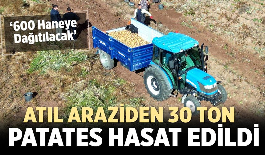 Çankırı Belediyesi 30 Ton Patates Üretti: 600 Haneye Dağıtılacak