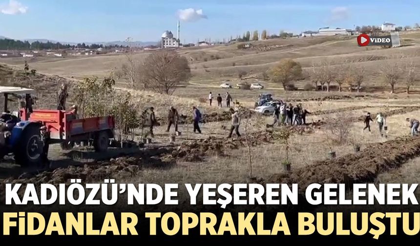 Kadıözü’nde Yeşeren Gelenek:  Fidanlar toprakla buluştu
