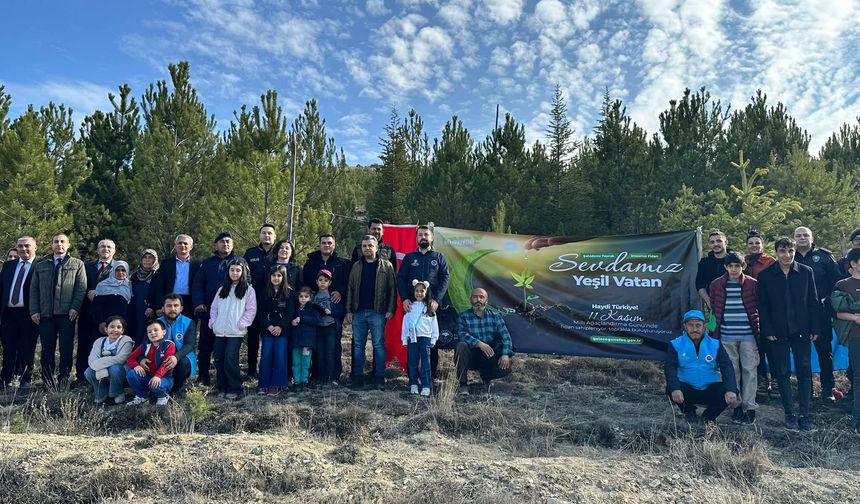 Eldivan'da Fidanlar Toprakla buluşturuldu