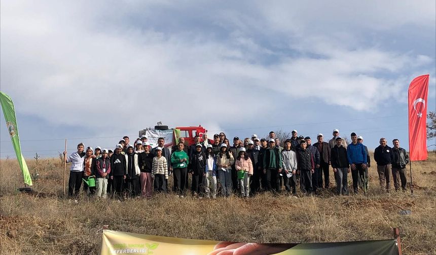 Yapraklı’da Milli Ağaçlandırma Günü’nde Fidanlar Toprakla Buluştu