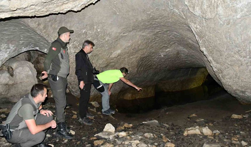 5 girişi bulunan mağara turizme kazandırılmak bekliyor