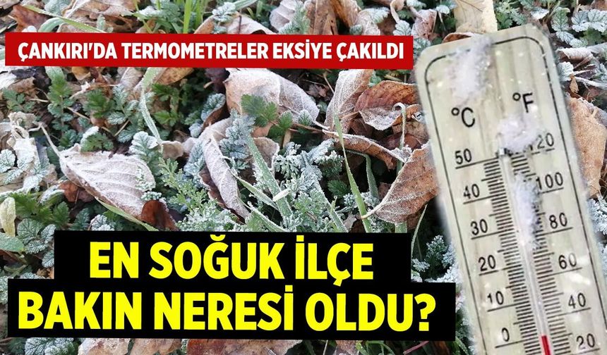 Çankırı'da Termometreler Eksiye Çakıldı: Bakın En Soğuk Neresi Oldu