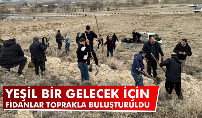 Çankırı’da Yeşil Bir Gelecek İçin Fidanlar Toprakla Buluşturuldu