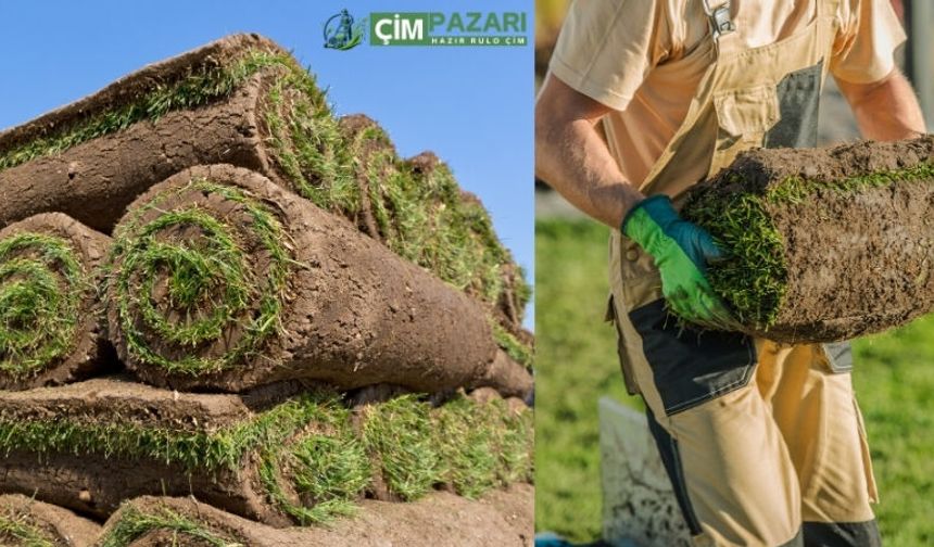 Hazır Rulo Çim Nedir? Ömrü Ne Kadar? Fiyatları Ne Kadar?