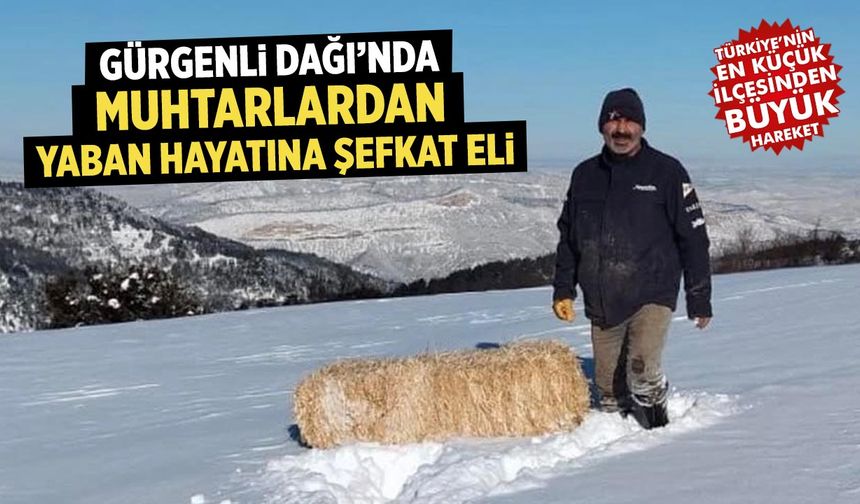 Çankırı Gürgenli Dağı’nda Muhtarlardan yaban hayatına şefkat eli