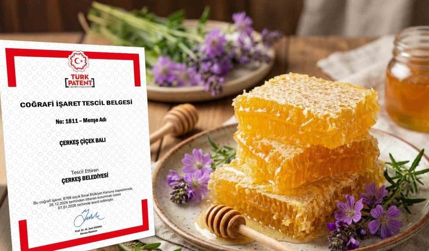 Çerkeş çiçek balı coğrafi işaret tescili aldı