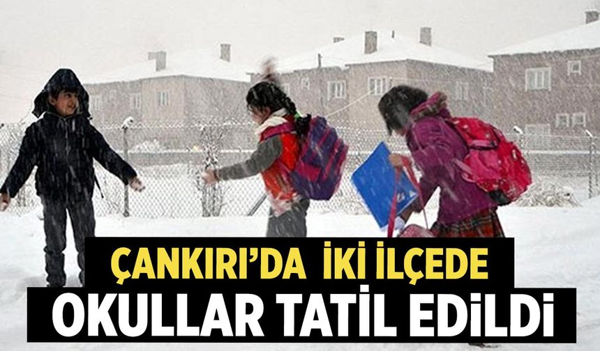 Çankırı’da Kar Nedeniyle İki İlçede Okullar Tatil