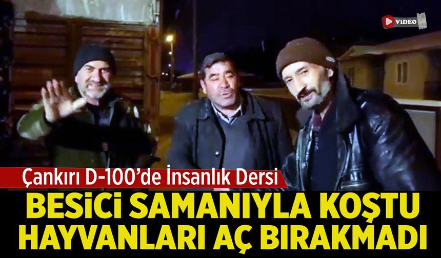Çankırı D-100’de İnsanlık Dersi:  Samanıyla Koştu, Hayvanları Aç Bırakmadı
