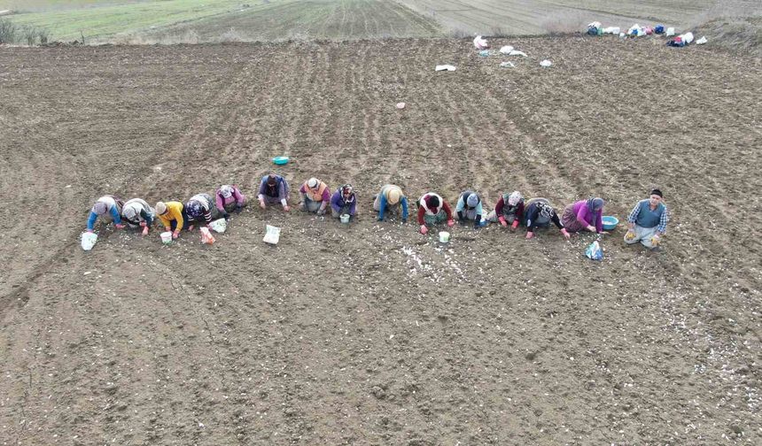 Annenin fedakarlık dolu yolculuğu: Çocukları için megakenti bırakıp toprağa sarıldı