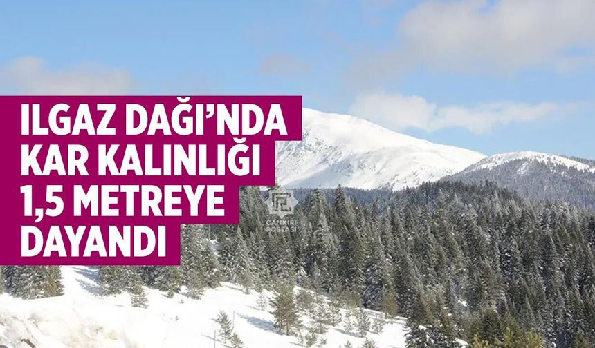 Ilgaz Dağı’nda Kar Kalınlığı 1,5 Metreye Dayandı