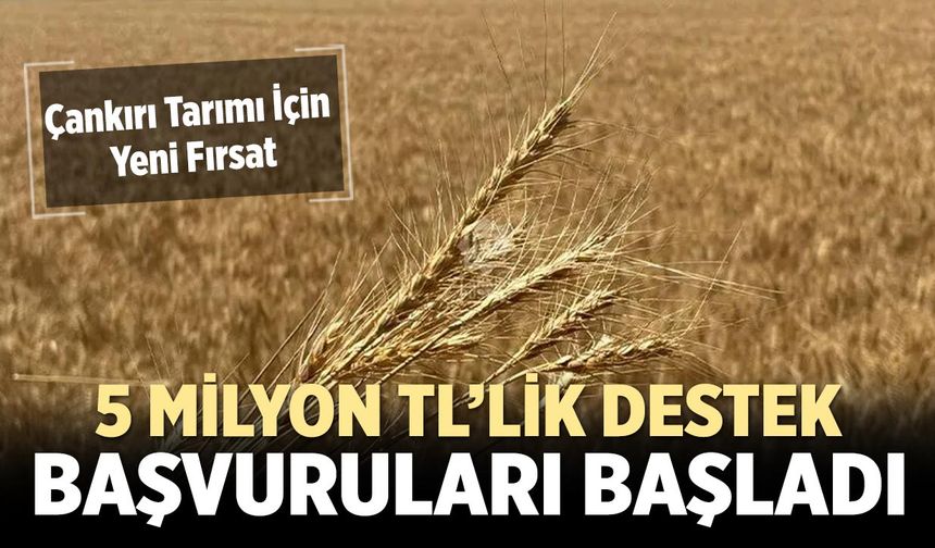 Çankırı Tarımı İçin Yeni Fırsat: 5 Milyon TL’lik Destek Başvuruları Başladı