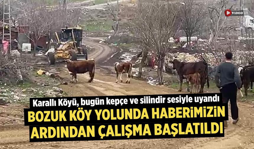 Çankırı'da bozuk köy yolunda haberimizin ardından çalışma başlatıldı