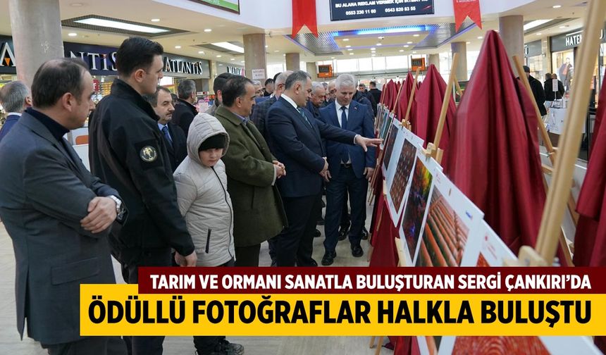 Tarım ve Ormanı Sanatla Buluşturan Sergi Çankırı’da Açıldı