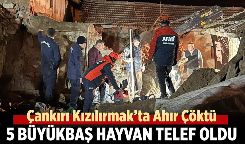Çankırı’da Ahır Çöktü: 5 Büyükbaş Hayvan Telef Oldu