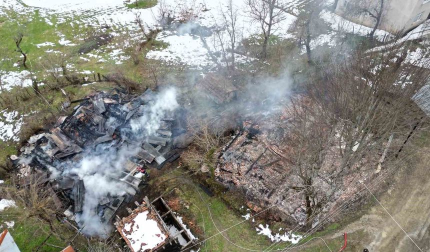 Kastamonu'da 2 ev ve bir ambar alev alev yandı