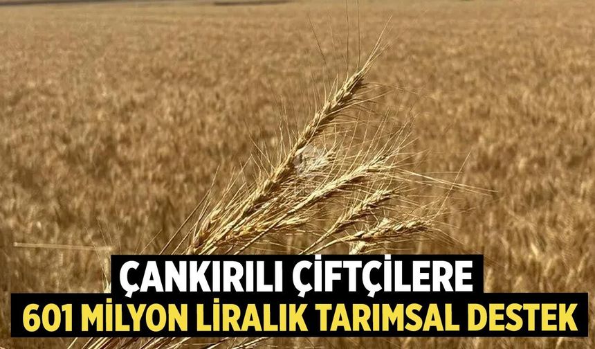 Erdoğan Açıkladı: Çankırılı Çiftçilere 601 Milyon Liralık Tarımsal Destek