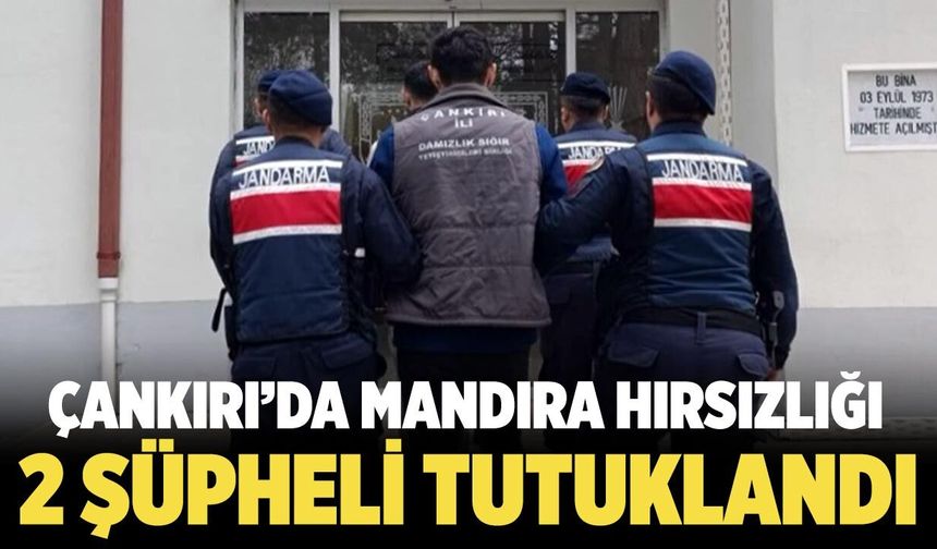 Çankırı’da Mandıra Hırsızlığı: 2 Şüpheli Tutuklandı