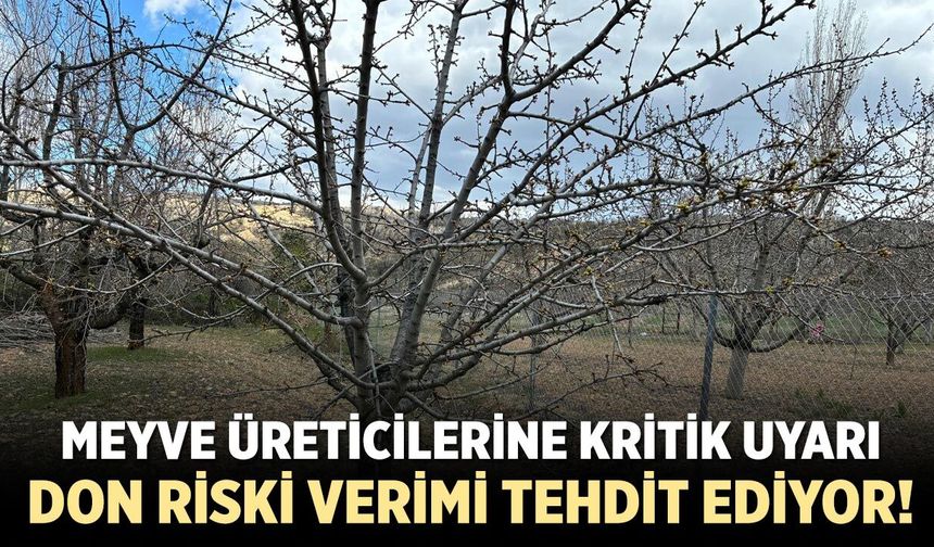 Çankırı’da Meyve Üreticilerine Kritik Uyarı: Don Riski Verimi Tehdit Ediyor!