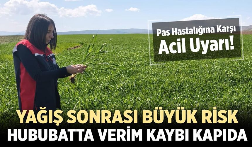 Çankırı’da Hububat Üreticilerine Pas Hastalığı Uyarısı