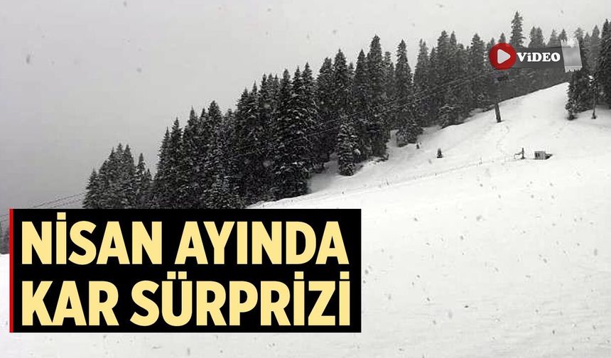Nisan Ayında Kar Sürprizi: Ilgaz Dağı Beyaza Büründü