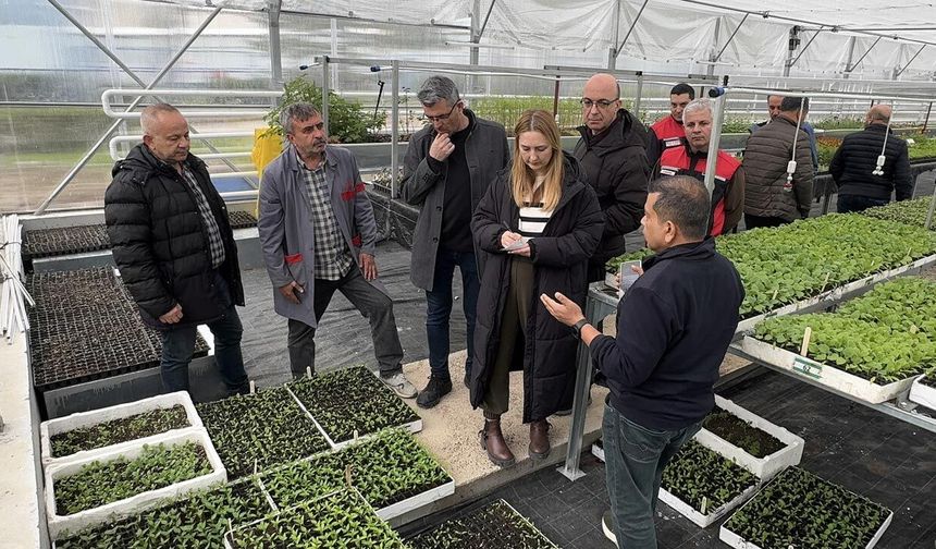 IFAD Heyeti Çankırı’da Kırsal Kalkınma Projelerini İnceledi