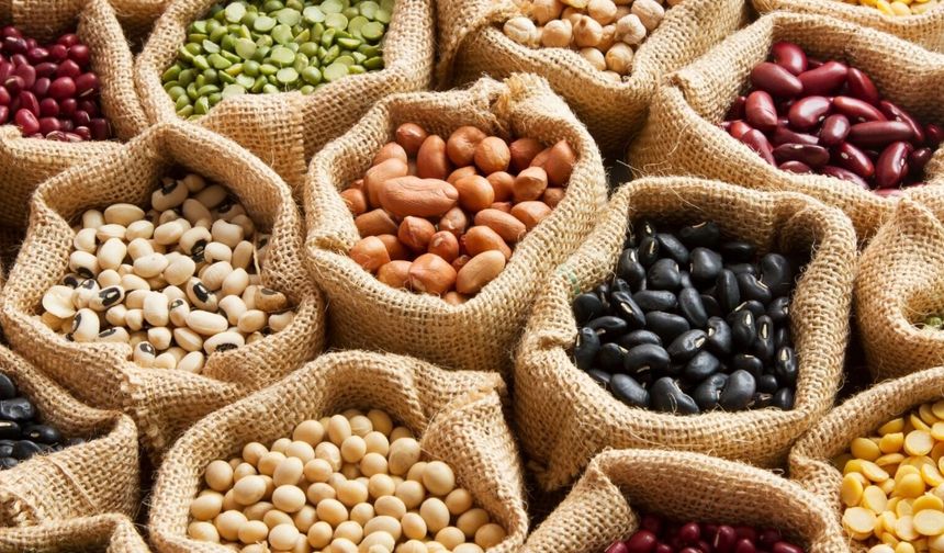 Bakliyat Dolum ve Paketleme Makine Üreticileri Arasında Global Mühendislik Gücü: Sağbil