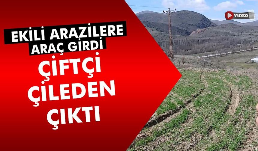 Çiftçiden elektrik dağıtım firmasının yol açtığı tarla zararına tepki