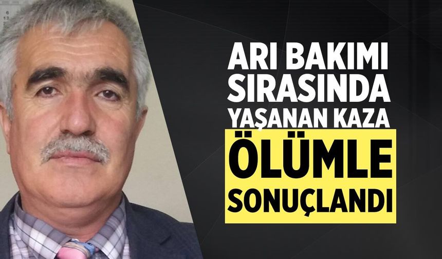 Çankırı’da Arı çıtasının saplandığı Muhsin Çakır hayatını kaybetti