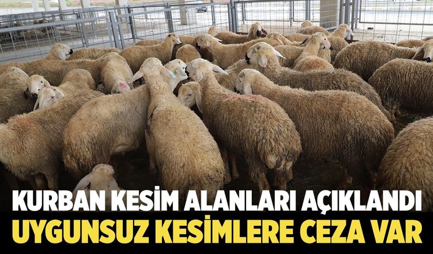 Çankırı’da Kurban Kesim Alanları Açıklandı: Uygunsuz Kesimlere Ceza Var!