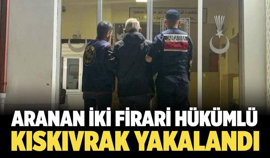 Firari iki hükümlü Ilgaz'da kıskıvrak yakalandı