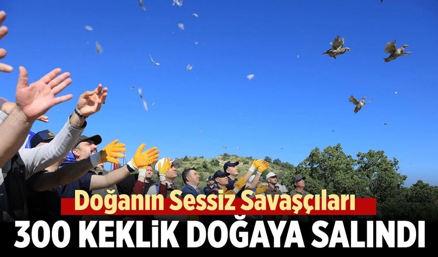 Çankırı’da 300 keklik doğaya bırakıldı