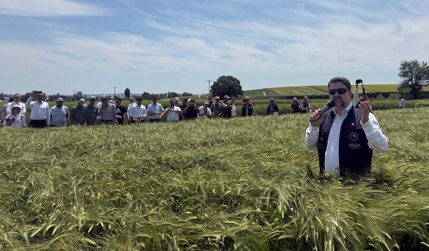 Çankırılı çiftçiler yerli ve milli tohumlarla buluştu