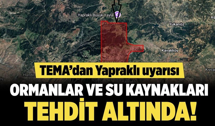 TEMA’dan Yapraklı uyarısı: Ormanlar ve su kaynakları tehdidi altında!