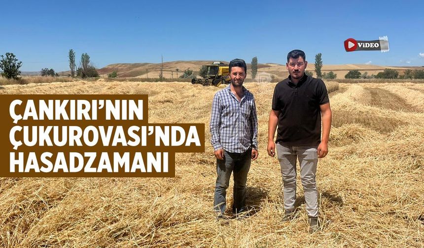 Çankırı’nın Çukurovası’nda arpa hasadı başladı