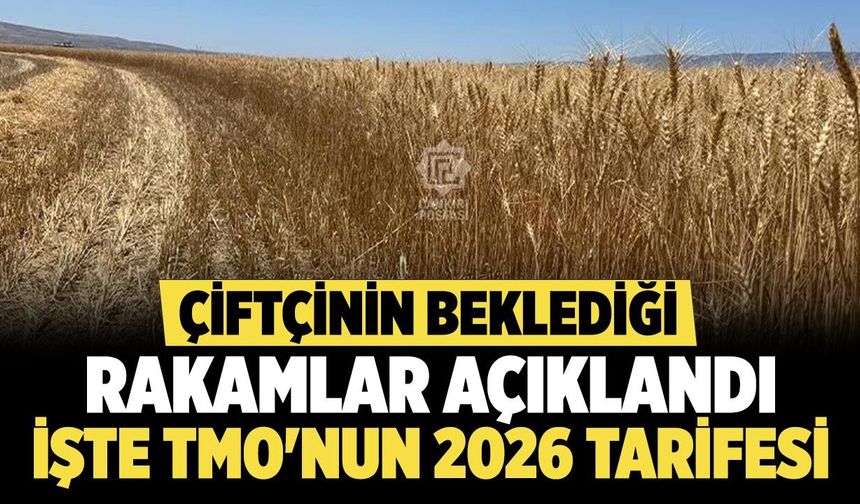 Çiftçinin Beklediği Rakamlar Açıklandı! İşte TMO'nun 2026 Tarifesi