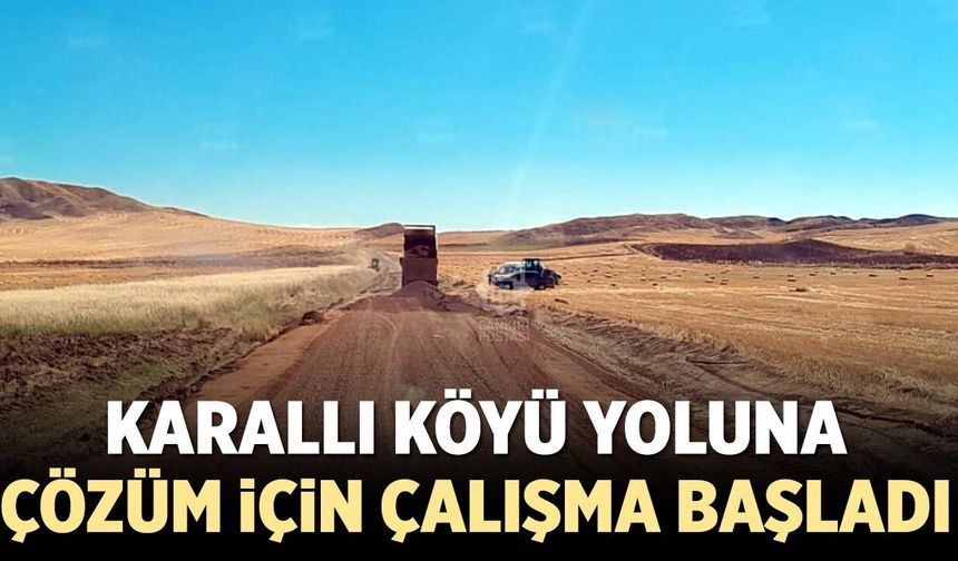 Karallı köyü yoluna çözüm için çalışma başladı