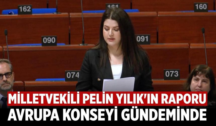 Çankırı Milletvekili Pelin Yılık'ın Raporu Avrupa Konseyi Gündeminde
