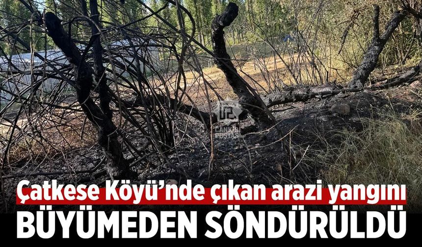 Çatkese Köyü’nde çıkan arazi yangını büyümeden söndürüldü