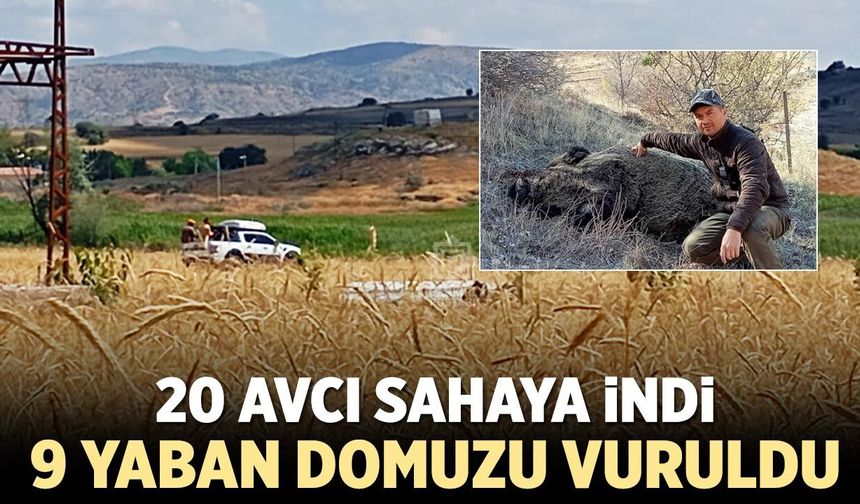 Çavundur'da 20 avcı sahaya indi, 9 yaban domuzu vuruldu