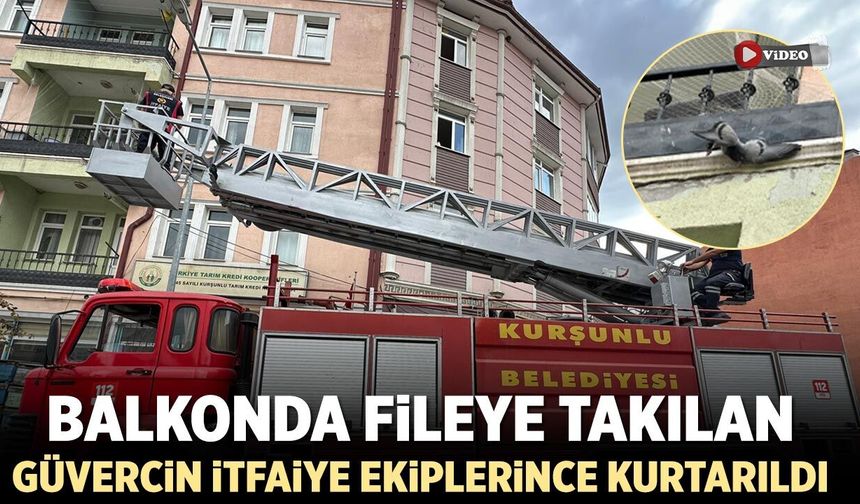 Balkonda fileye takılan güvercin itfaiye ekiplerince kurtarıldı