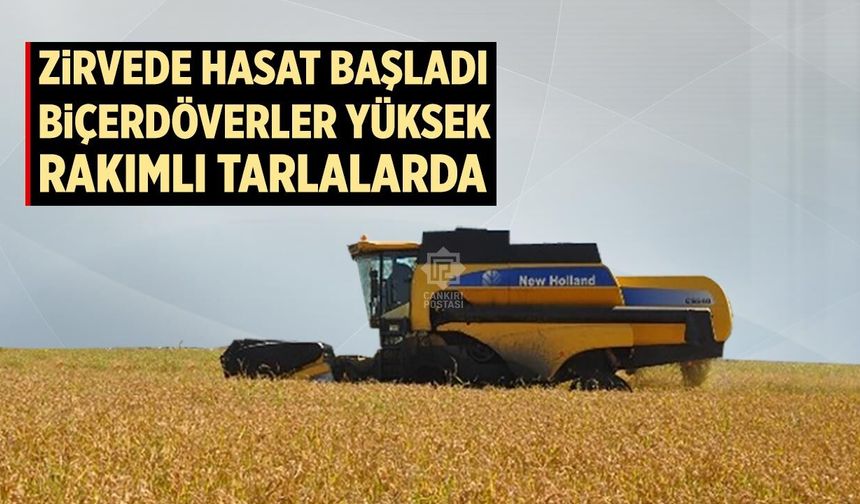 Çankırı'nın zirvesinde hasat başladı