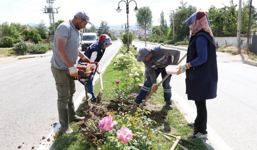 Çerkeş’in Ankara girişine yeşil dokunuş