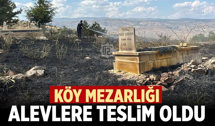 Çankırı'da köy mezarlığı alevlere teslim oldu