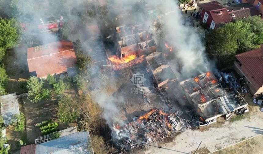 Ilgaz’da yangın: 3 ev, samanlık ve ahırlar küle döndü