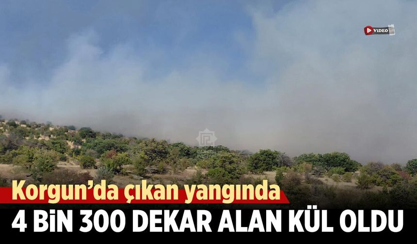 Korgun’da çıkan yangında 4 bin 300 dekar alan kül oldu