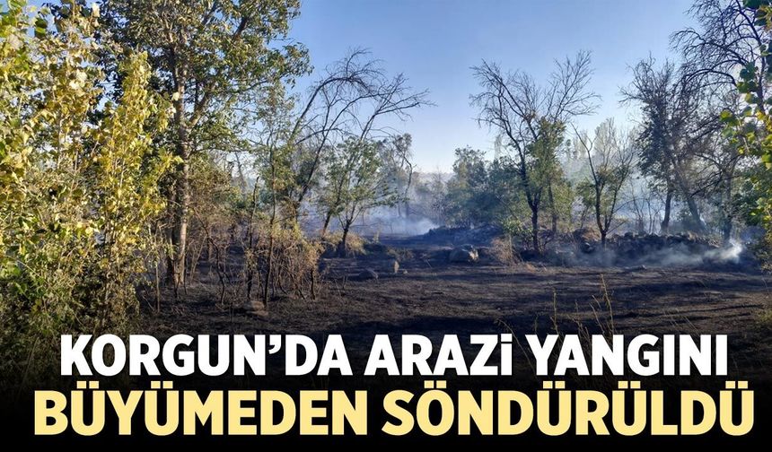 Korgun’da arazi yangını büyümeden söndürüldü