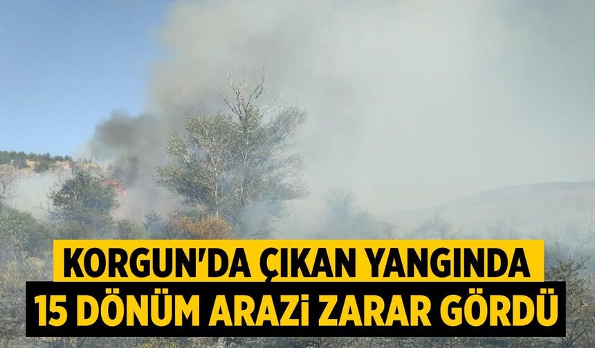 Korgun'da çıkan yangında 15 dönüm arazi zarar gördü