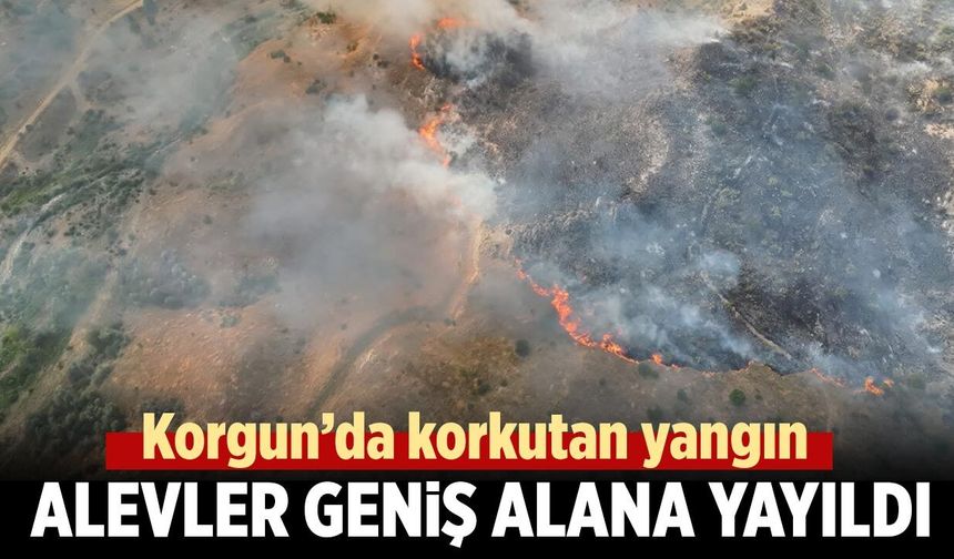 Korgun’da yangın paniği! Alevler geniş alana yayıldı
