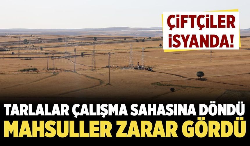 Kurşunlulu çiftçiler isyanda! Tarlalar çalışma sahasına döndü, mahsuller zarar gördü